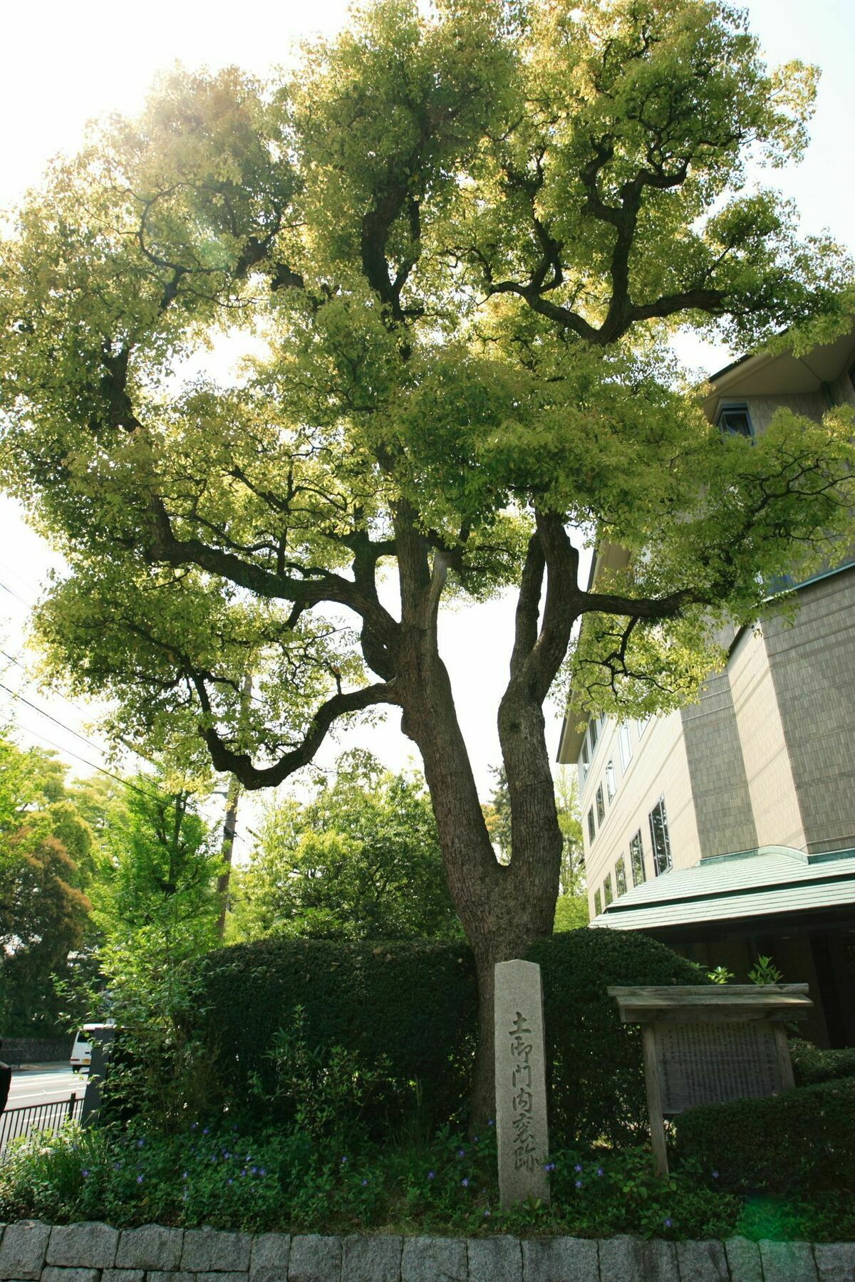 Kyoto Garden Palace Eksteriør billede